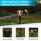 Merrick Lane All-Weather Tulip Design LED Solar Lights, Outdoor Solar Powered Lights for Pathway, Garden, & Yard - Set of 8
